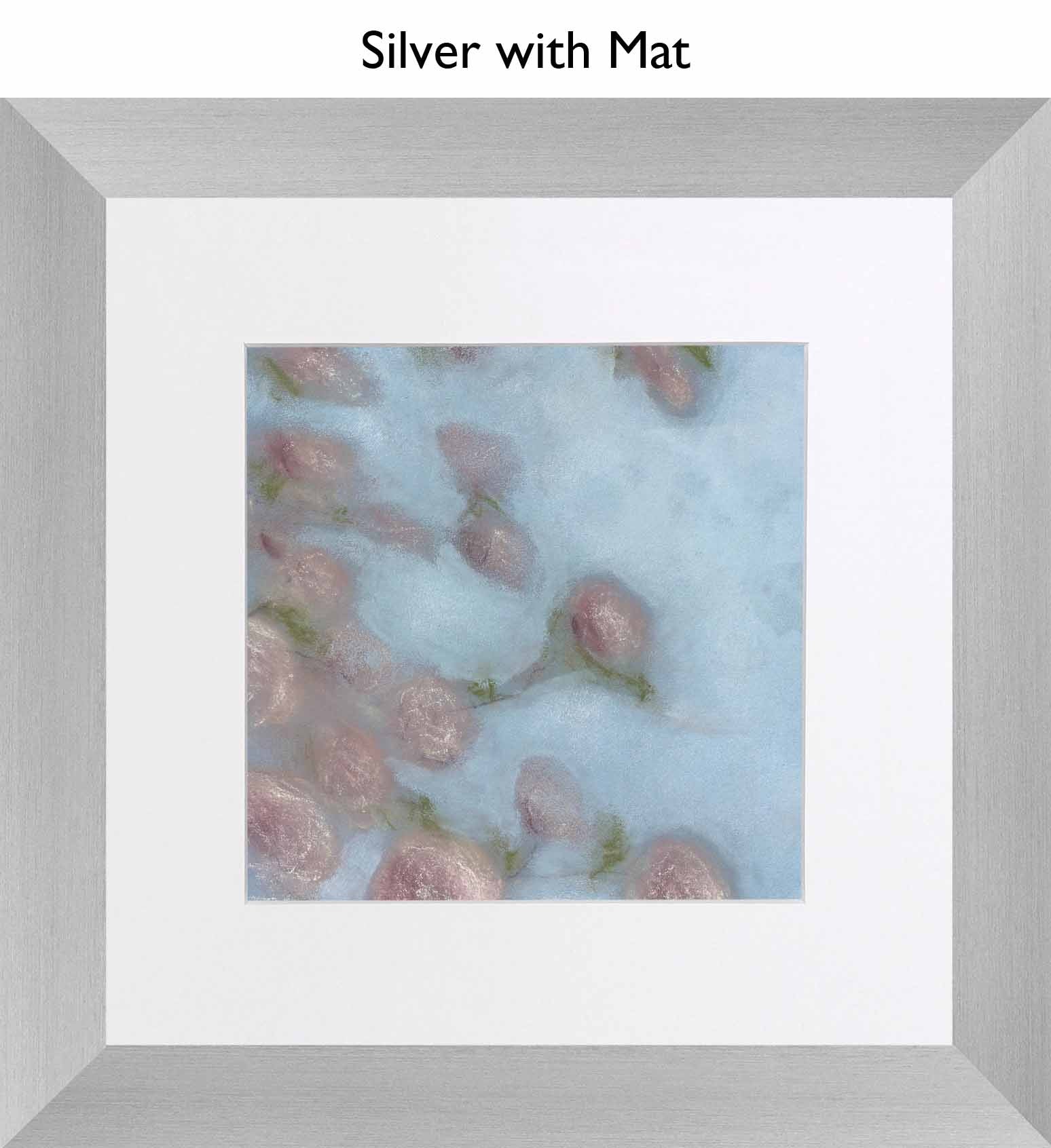 Silver With Mat