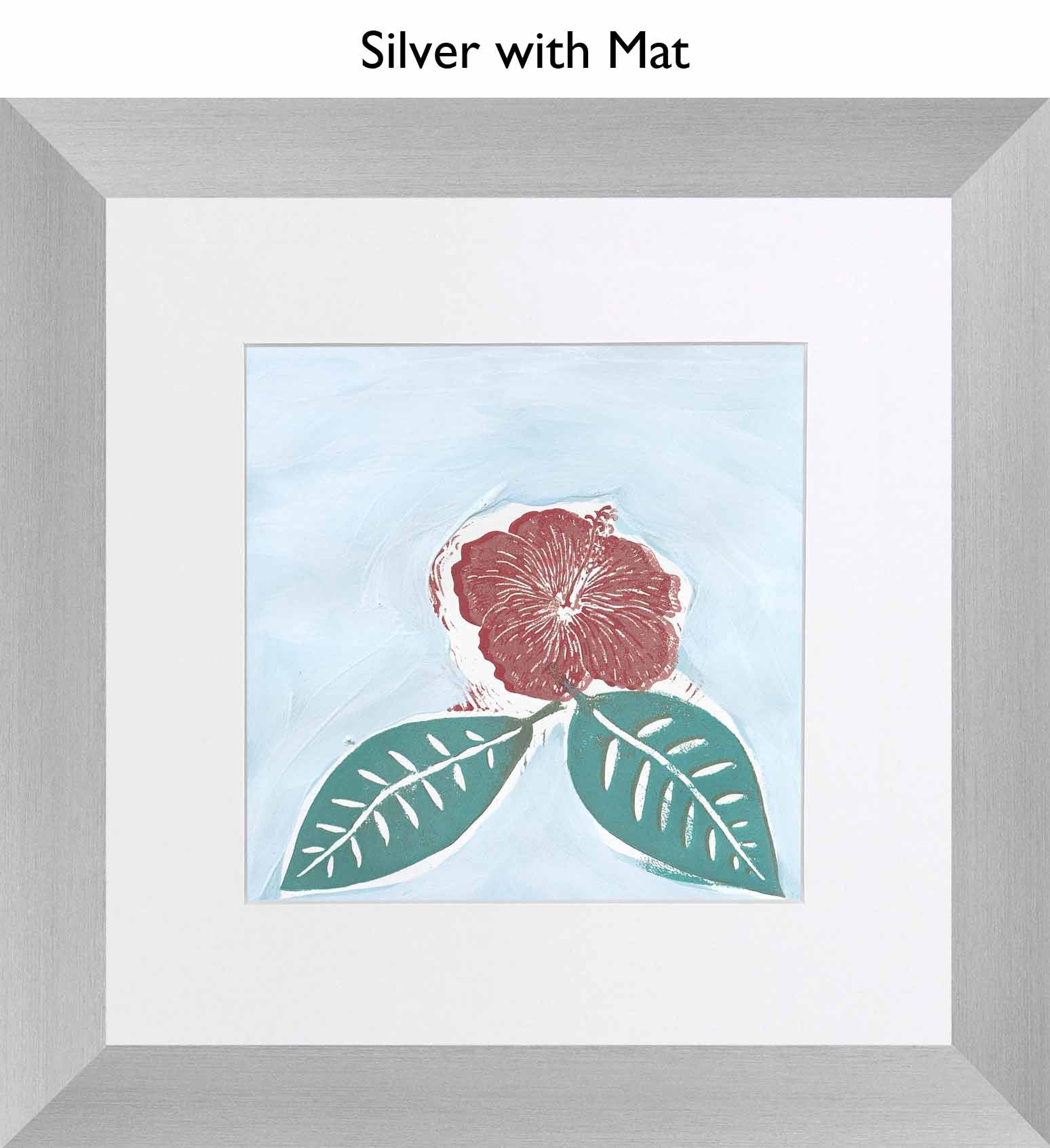 Silver With Mat