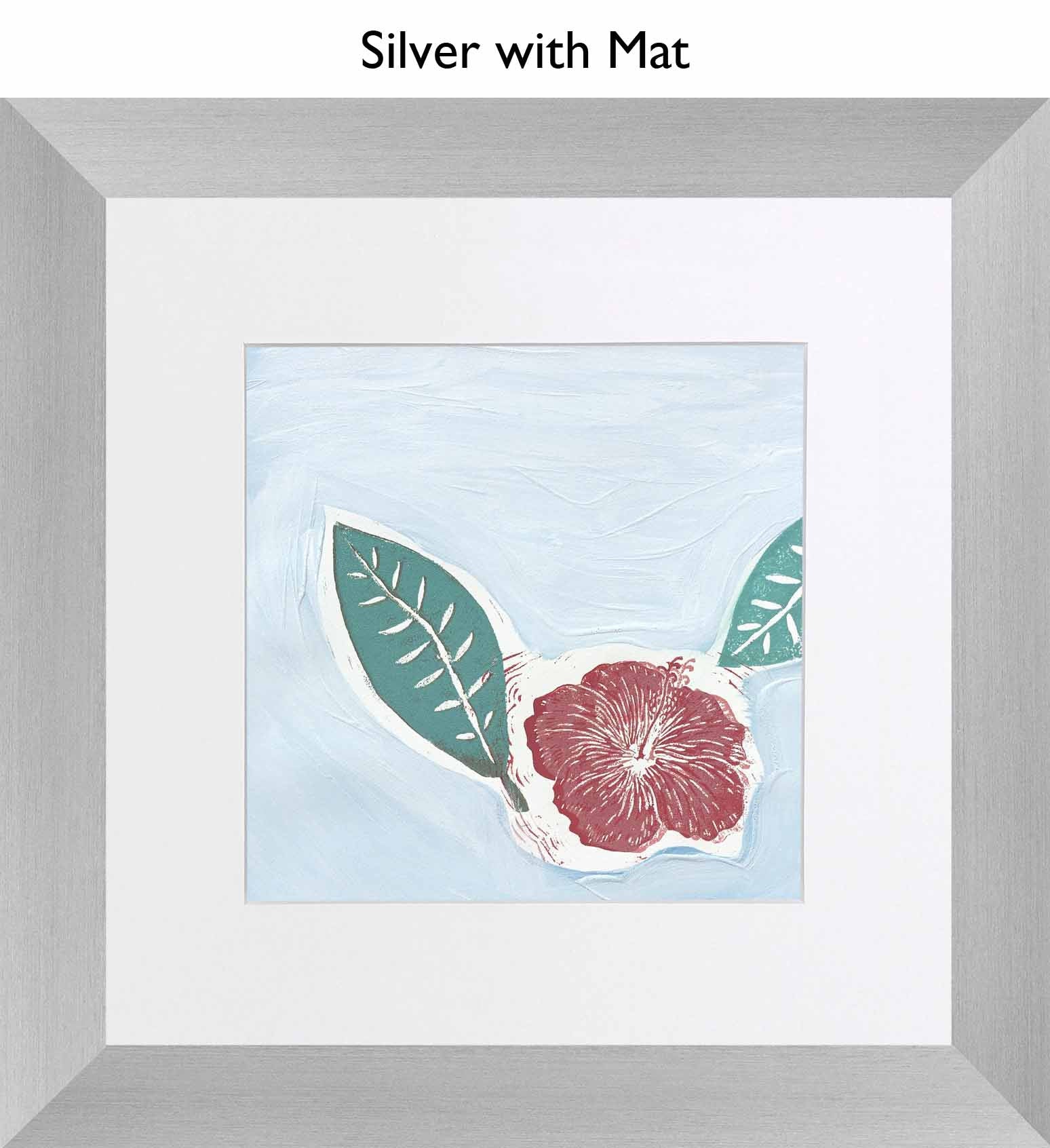 Silver With Mat