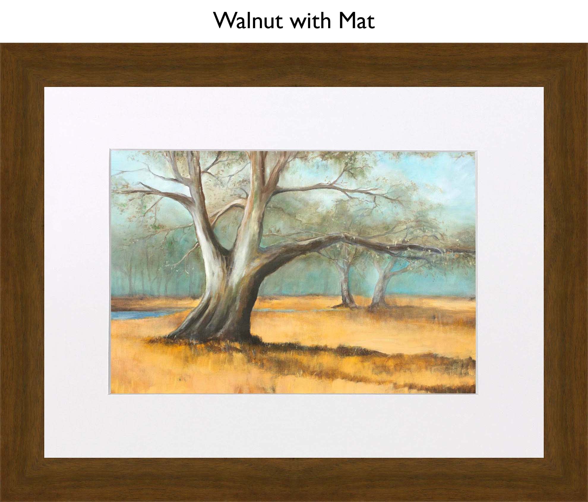 Walnut With Mat