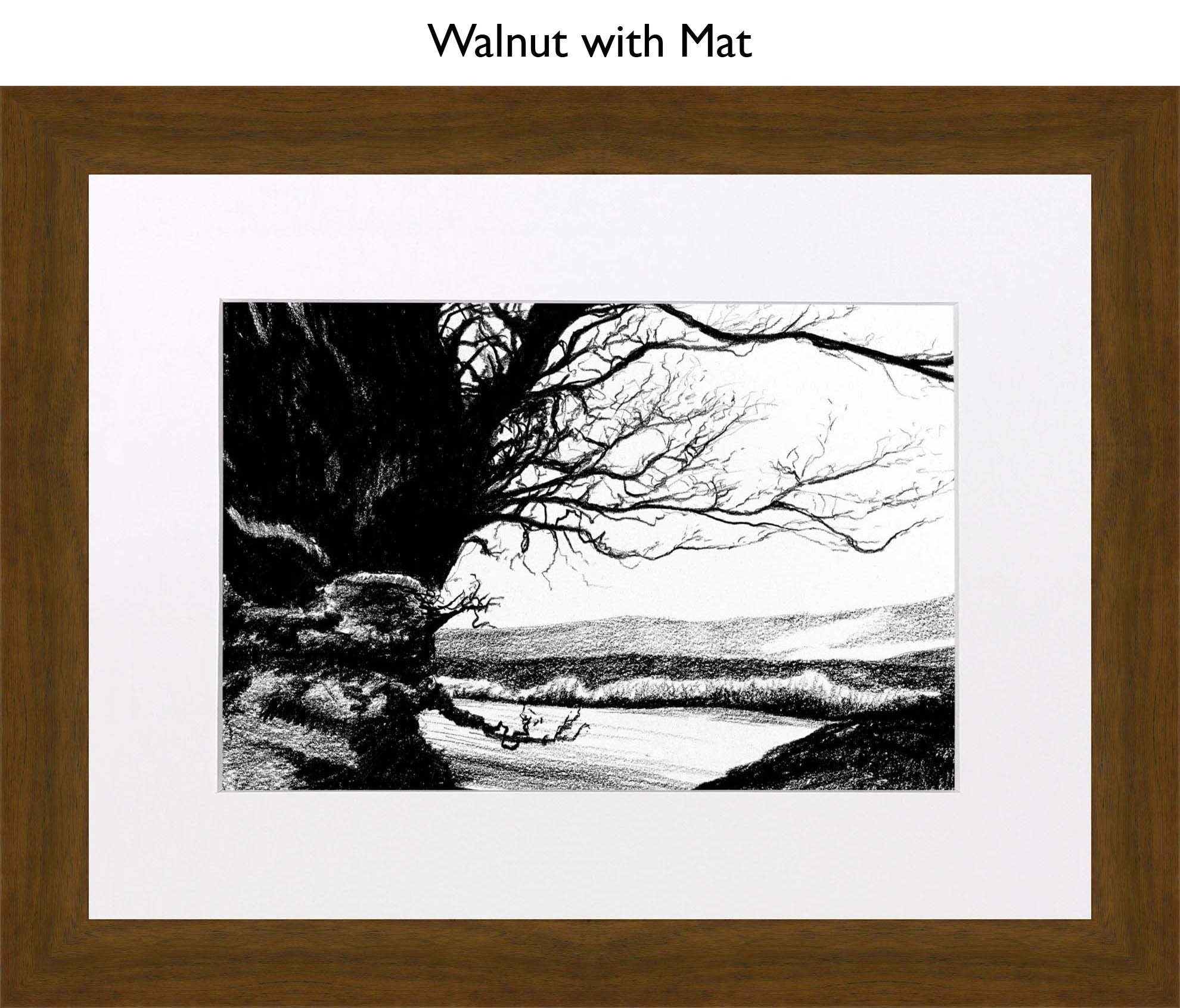 Walnut With Mat