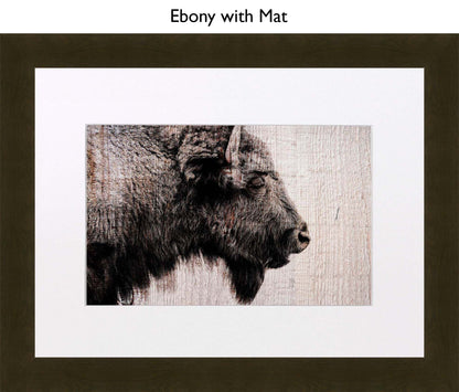 Ebony With Mat
