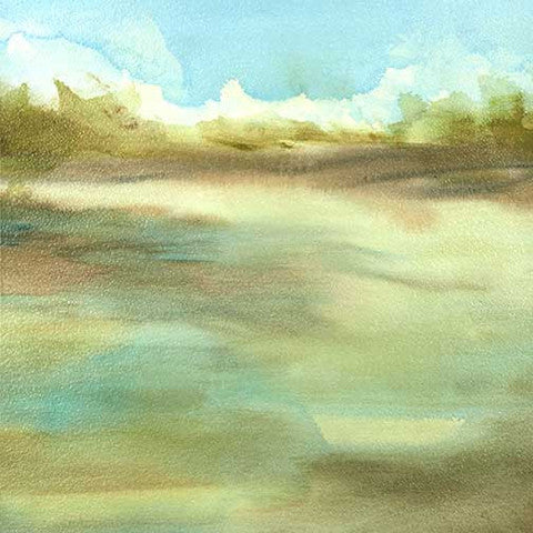 Transparent Evolution